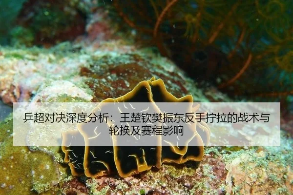 ping-chao-dui-jue-shen-du-fen-xi-wang-chu-qin-fan-zhen-dong-fan-shou-ning-la-de-zhan-shu-yu-lun-huan-ji-sai-cheng-ying-2-663.jpg