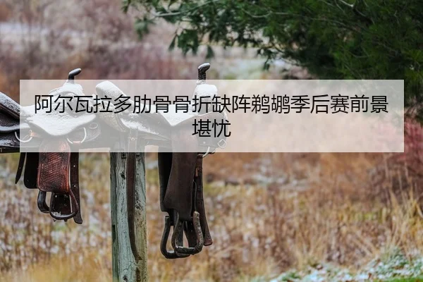 a-er-wa-la-duo-lei-gu-gu-zhe-que-zhen-ti-hu-ji-hou-sai-qian-jing-kan-you-2-483.jpg