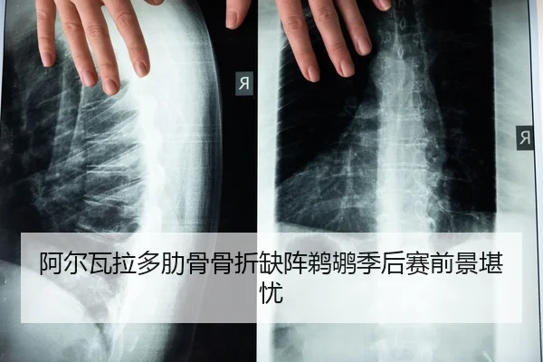阿尔瓦拉多肋骨骨折缺阵鹈鹕季后赛前景堪忧