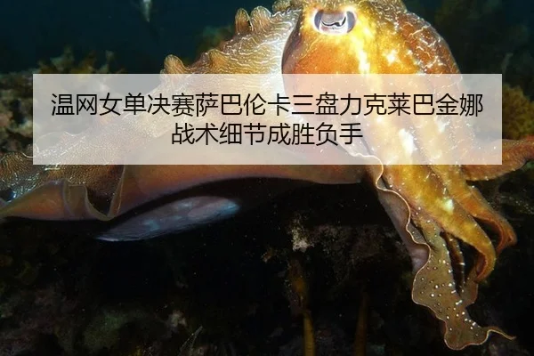 wen-wang-nv-dan-jue-sai-sa-ba-lun-ka-san-pan-li-ke-lai-ba-jin-na-zhan-shu-xi-jie-cheng-sheng-fu-shou-2-917.jpg