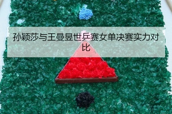 孙颖莎与王曼昱世乒赛女单决赛实力对比