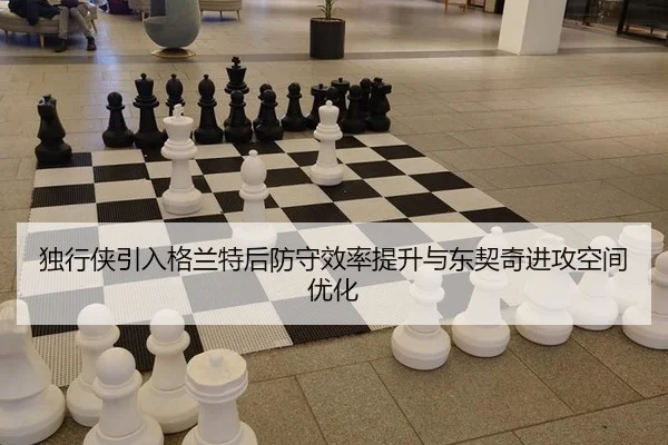 du-xing-xia-yin-ru-ge-lan-te-hou-fang-shou-xiao-lv-ti-sheng-yu-dong-qi-qi-jin-gong-kong-jian-you-hua-2-395.jpg