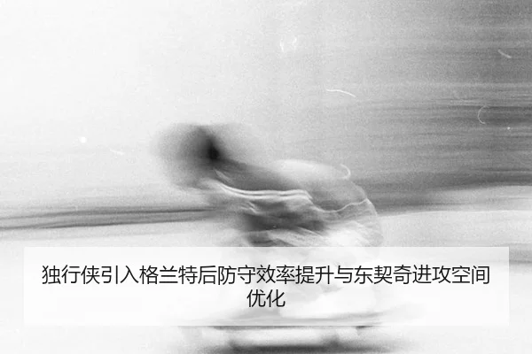 du-xing-xia-yin-ru-ge-lan-te-hou-fang-shou-xiao-lv-ti-sheng-yu-dong-qi-qi-jin-gong-kong-jian-you-hua-3-549.jpg
