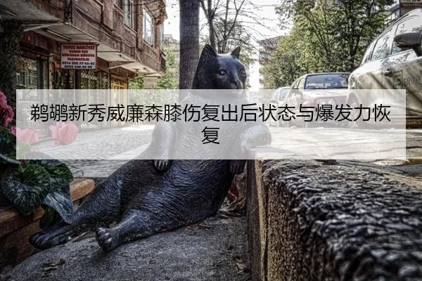 ti-hu-xin-xiu-wei-lian-sen-xi-shang-fu-chu-hou-zhuang-tai-yu-bao-fa-li-hui-fu-2-438.jpg